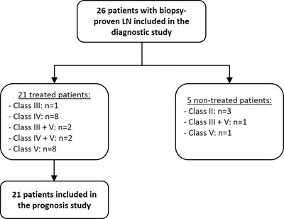 MAIT cells altered phenotype and cytotoxicity in lupus patients are linked to renal disease severity and outcome